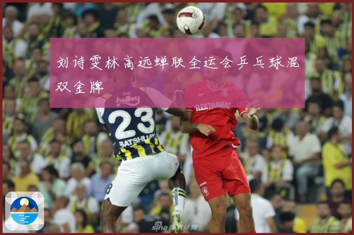 刘诗雯林高远蝉联全运会乒乓球混双金牌