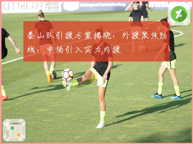 泰山队引援方案揭晓，外援聚焦防线，中场引入实力内援