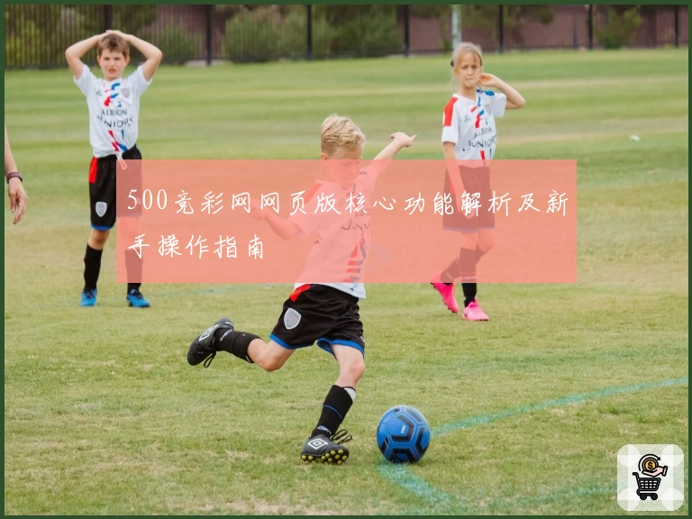 500竞彩网网页版核心功能解析及新手操作指南